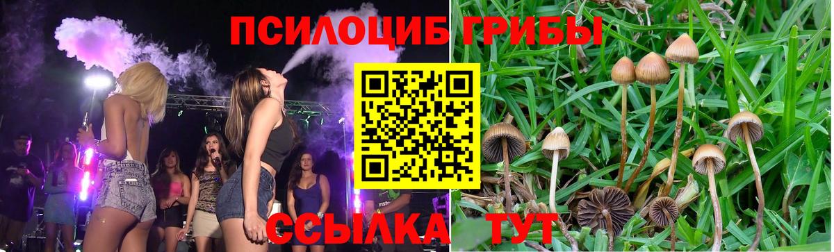 Галлюциногенные грибы MAGIC MUSHROOMS Бузулук